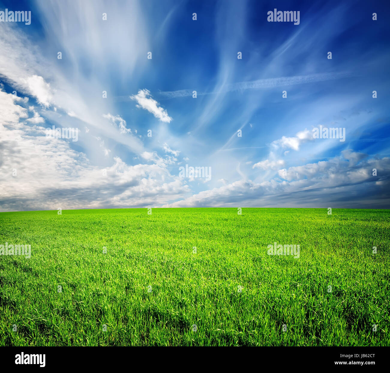 Green field and blue sky lit by the sun Stock Photo - Alamy