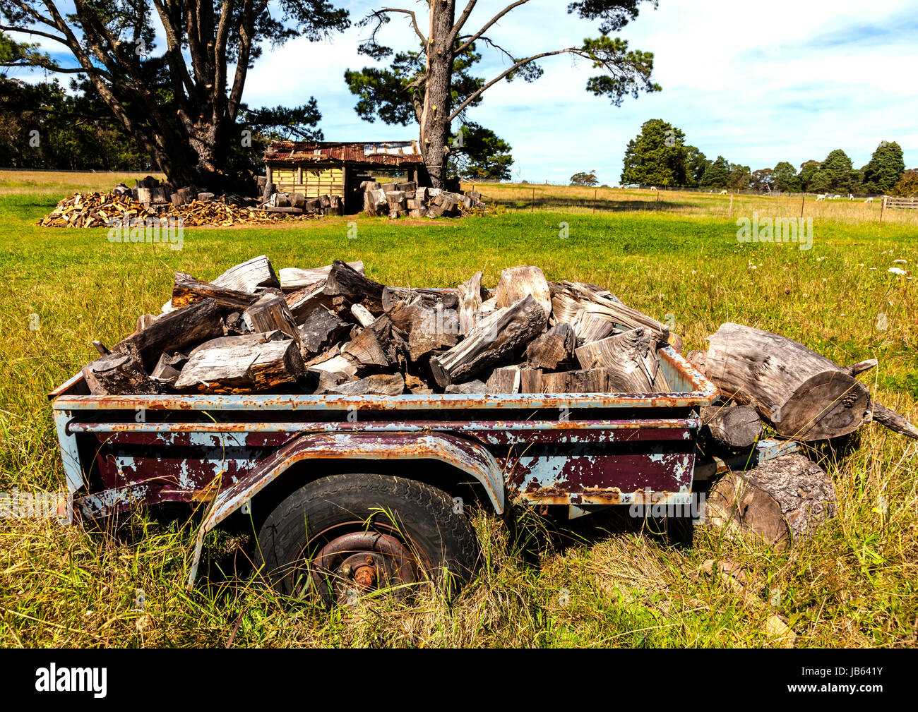 Trailer load of fire wood ready for collection Stock Photo