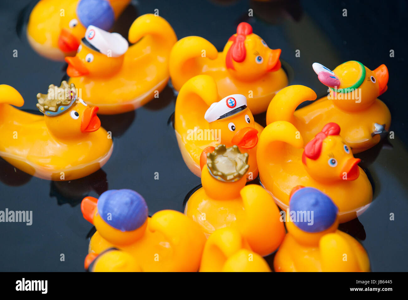 Yellow rubber ducks in the kiddie pool Stock Photo Alamy