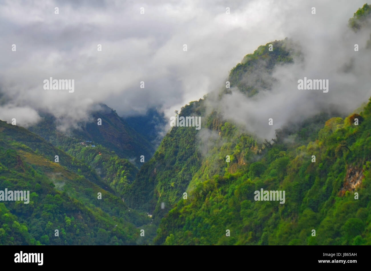 Mountain forest in the fog, cloud. Nepal, Annapurna region, Mardi Himal track. Stock Photo