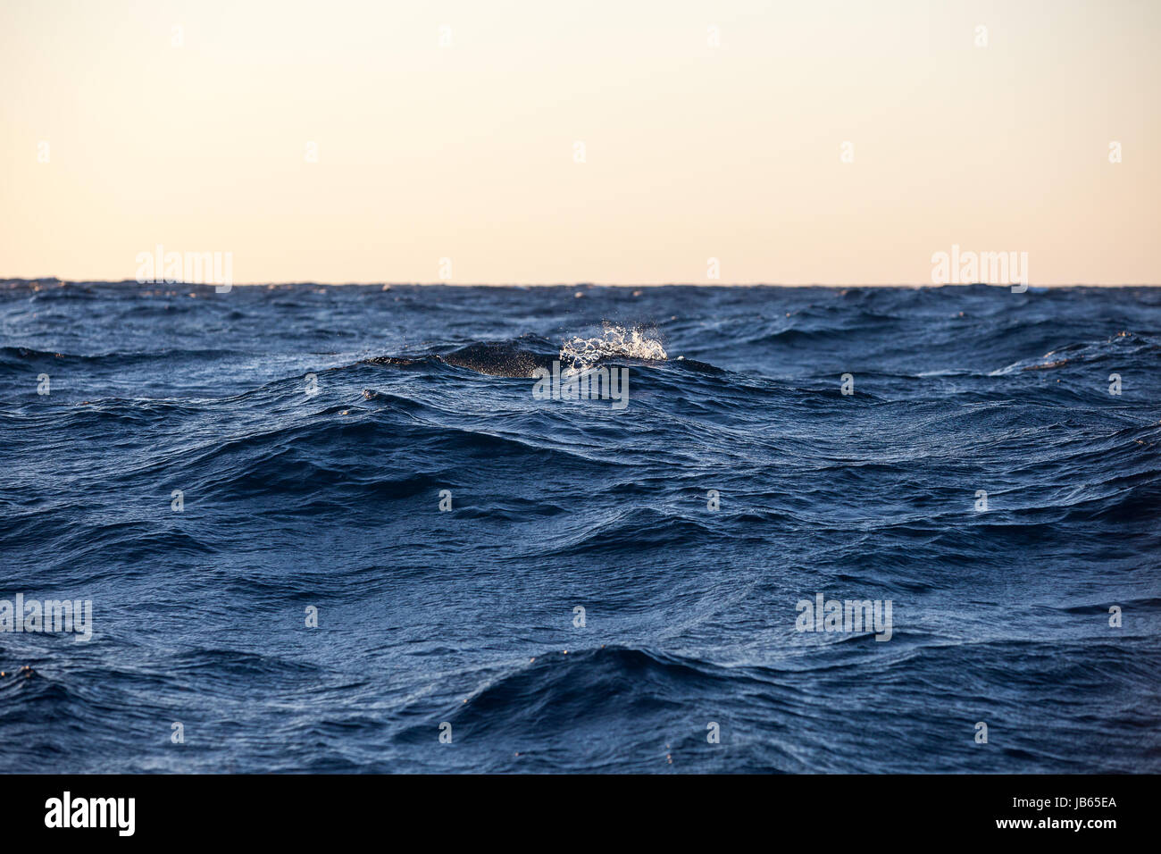 Close up large waves in hi-res stock photography and images - Alamy