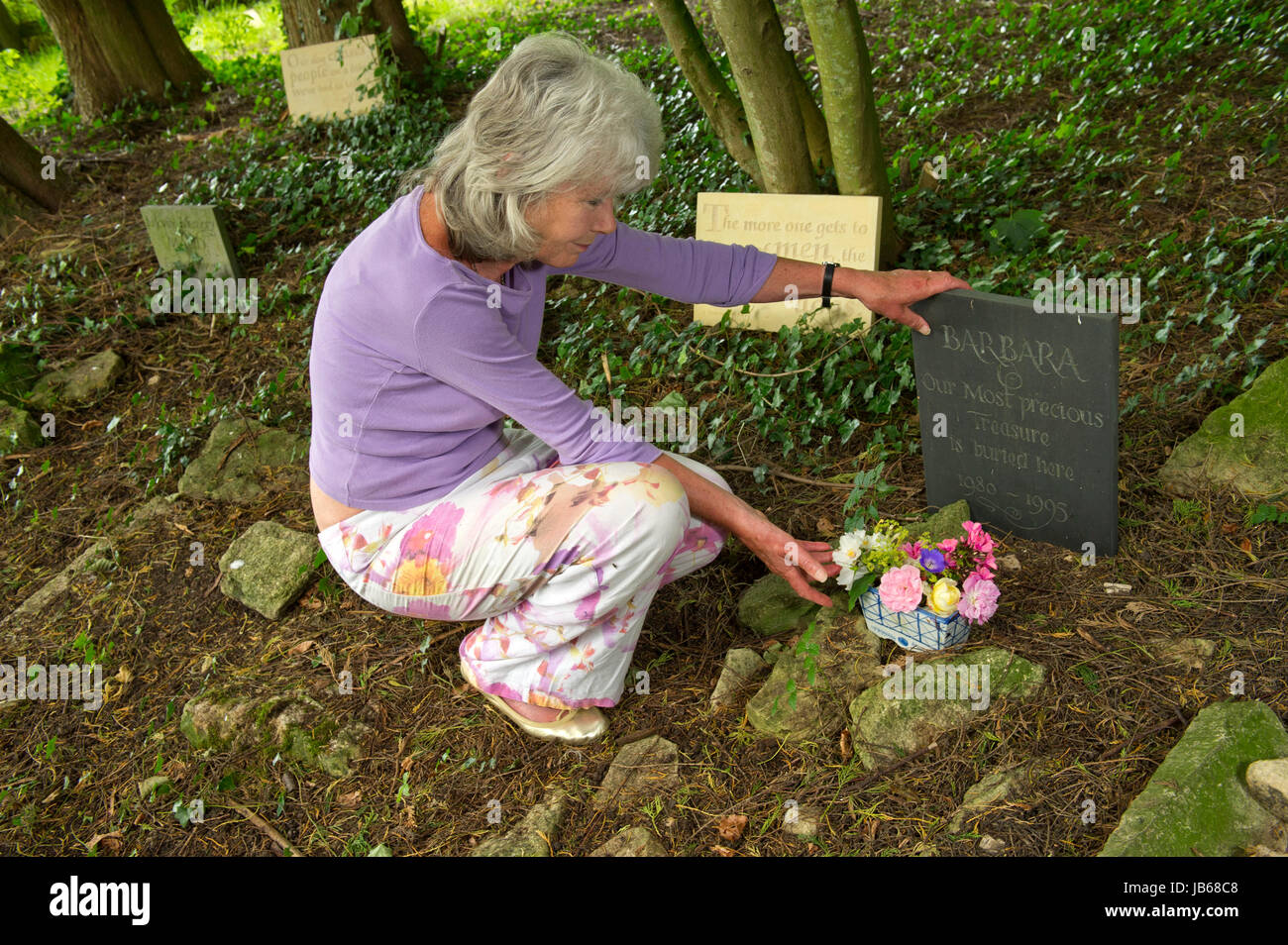 Jilly Cooper at her home in Gloucestershire with greyhounds 'bluebell' (red collar) and 'Feather', showing her pets cemetary and a wall of photographs Stock Photo