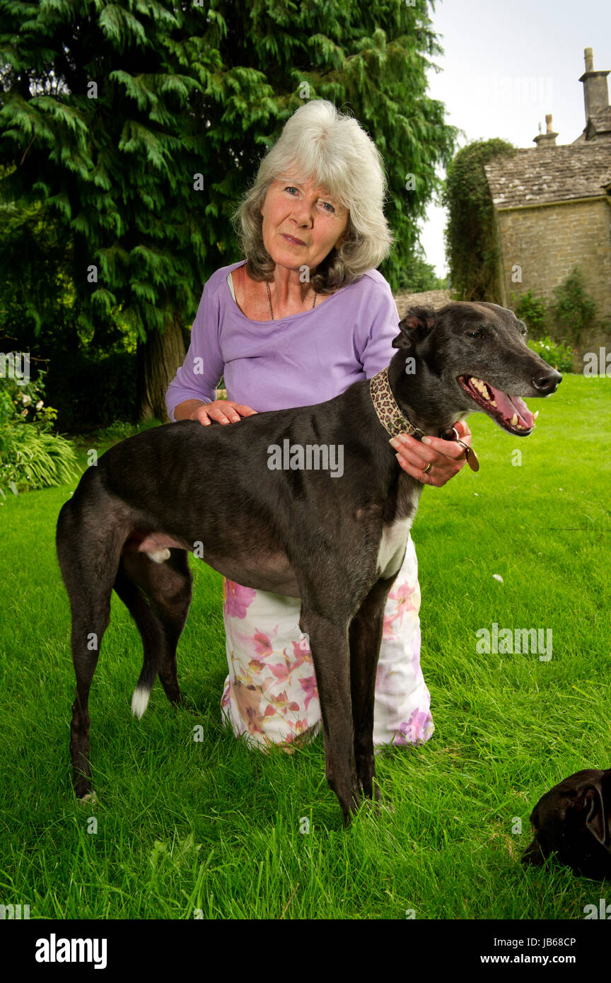 Jilly Cooper at her home in Gloucestershire with greyhounds 'bluebell' (red collar) and 'Feather', showing her pets cemetary and a wall of photographs Stock Photo