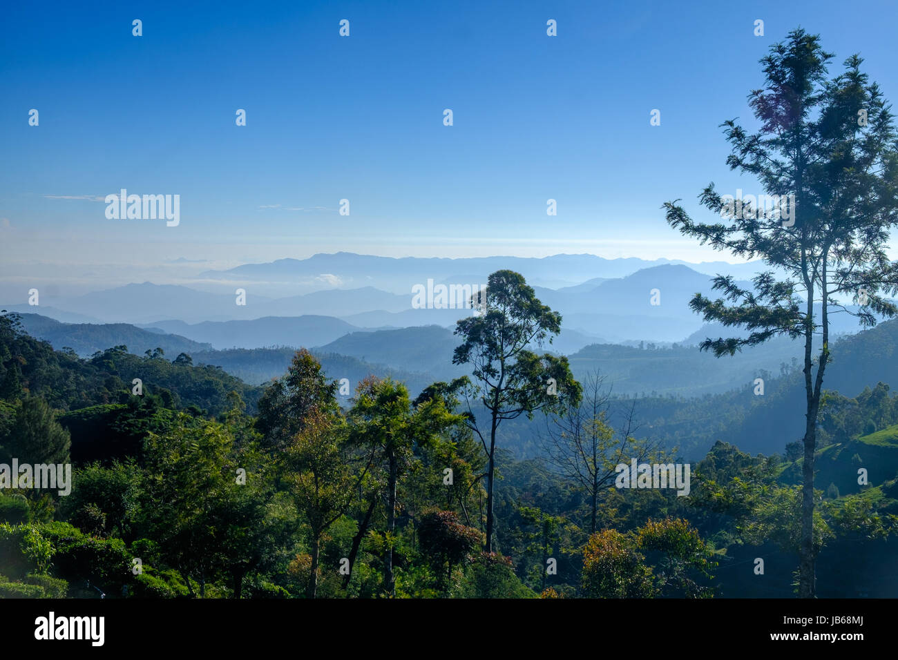 View across the hill country, Central Province, Sri Lanka Stock Photo
