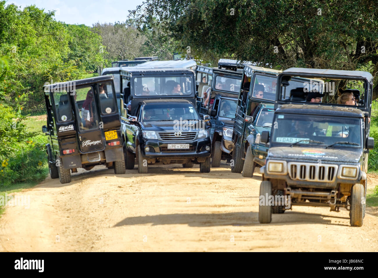Traffic jam of jeeps as a leopard is spotted in the bush - Yala National Park, Sri Lanka Stock Photo