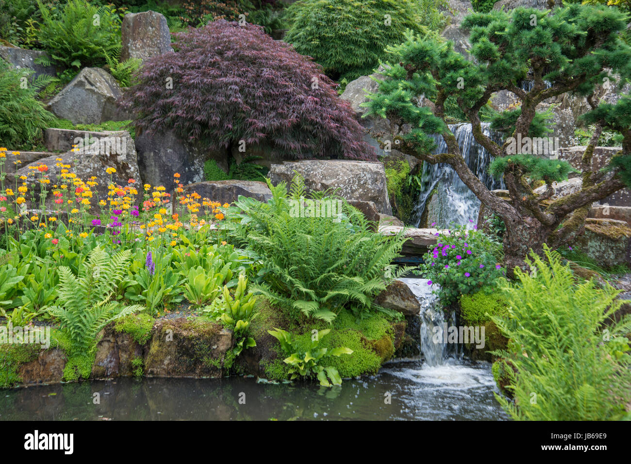 Rock Garden, RHS Garden, Wisley, Surrey. Stock Photo