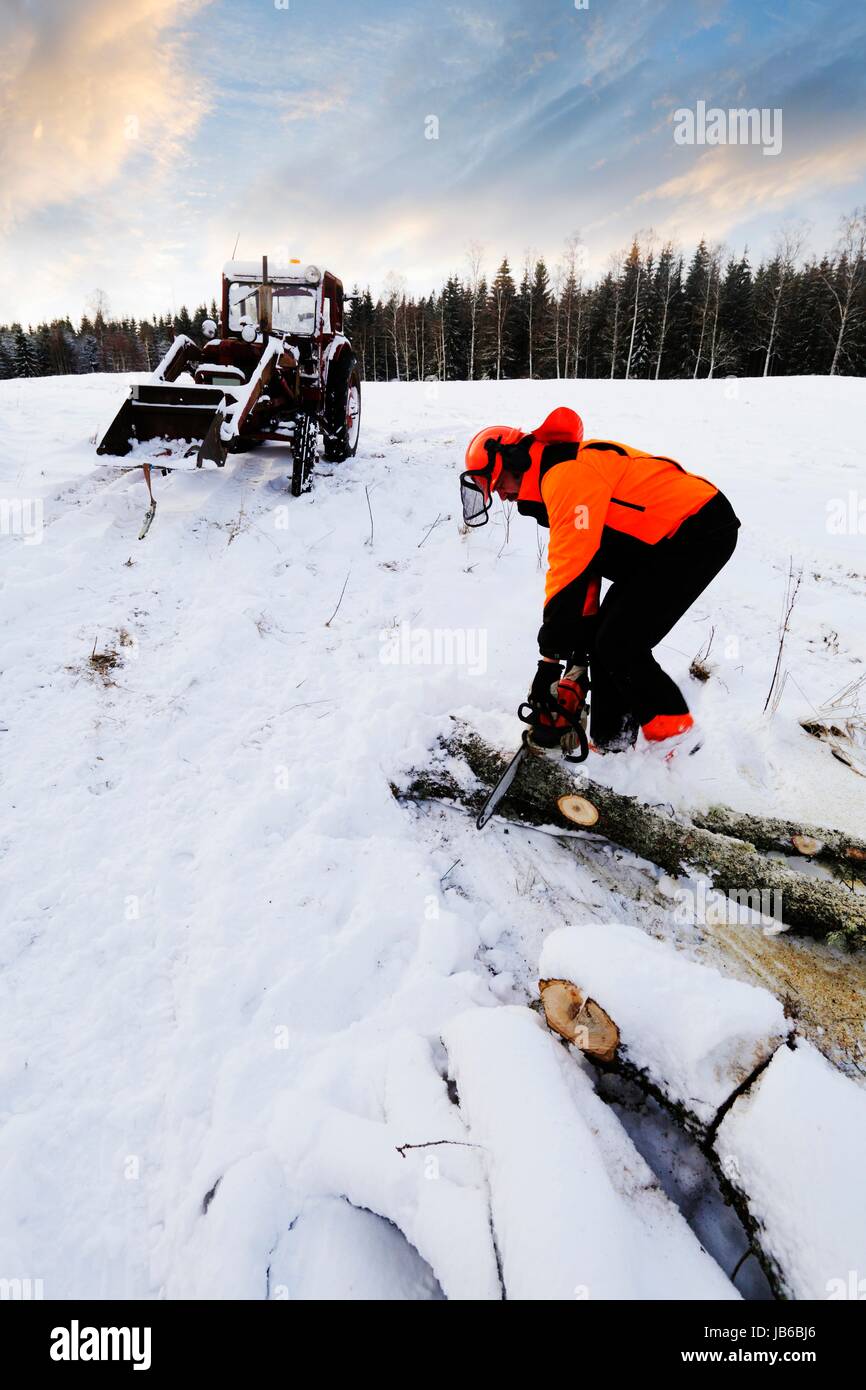 Man chainsaw log hi-res stock photography and images - Alamy