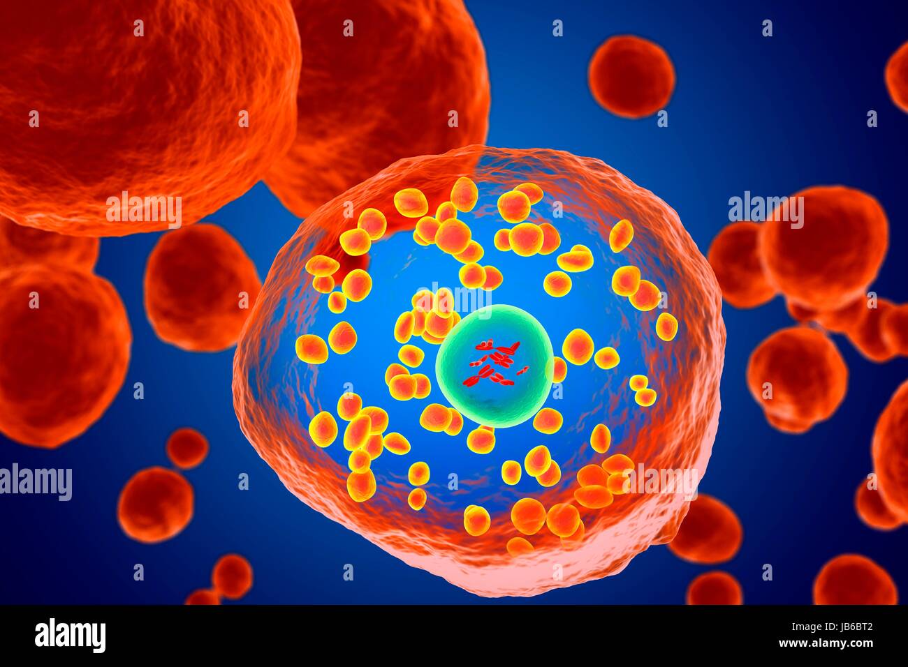 Basophil white blood cell, illustration. Stock Photo