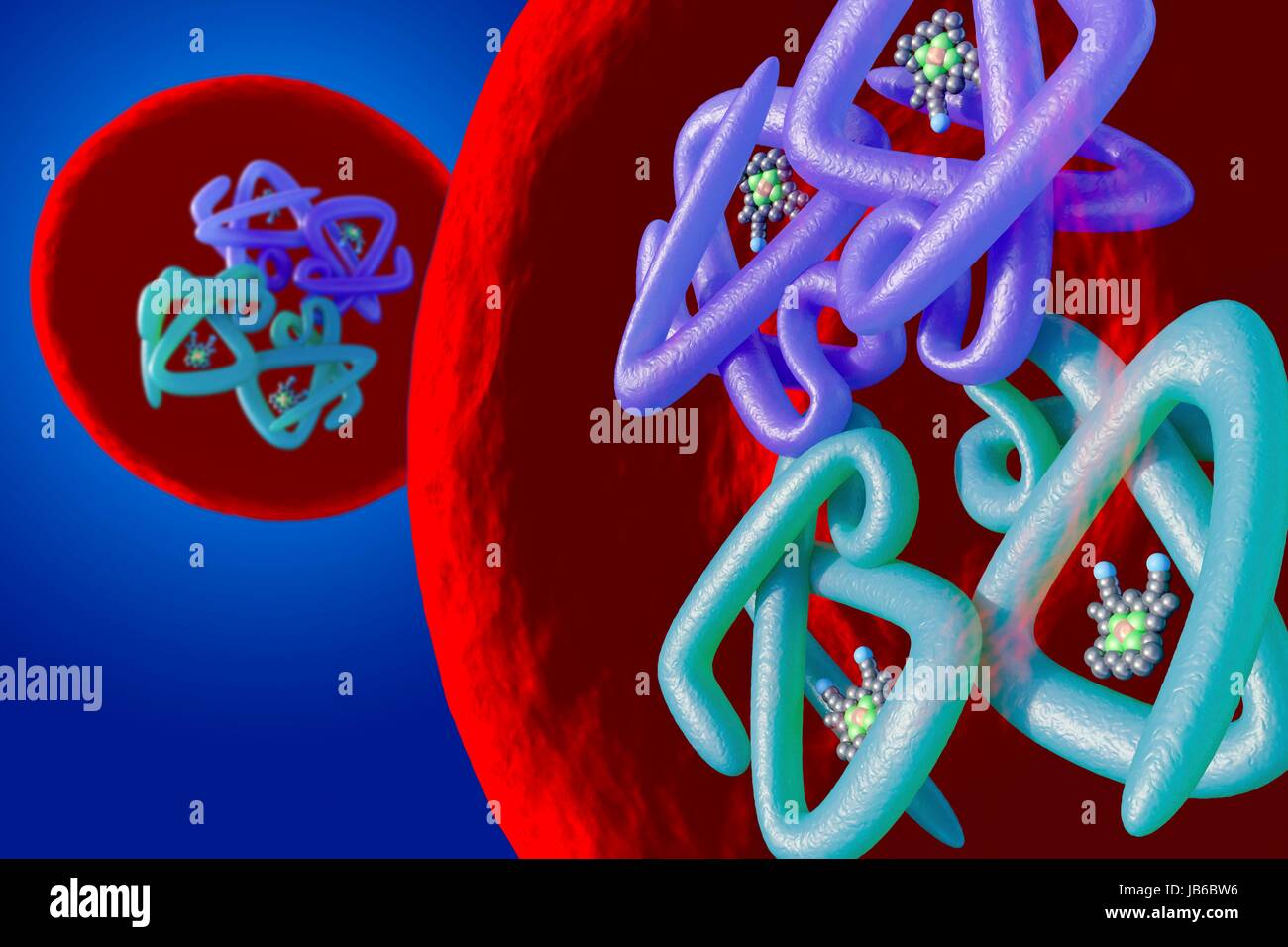 Red blood cell structure, illustration. Haemoglobin molecule inside a red blood cell. Stock Photo