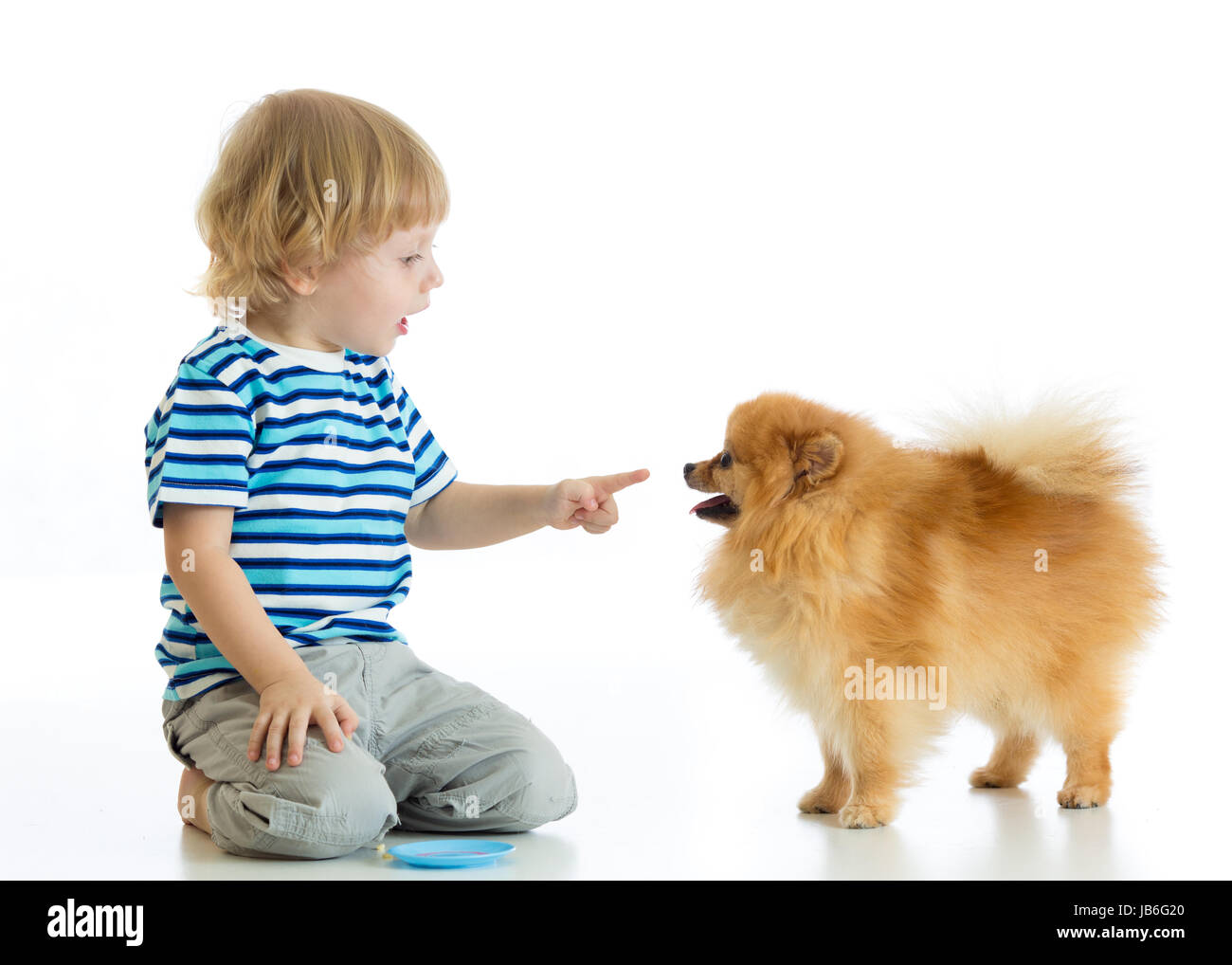 Child boy training Spitz dog. Isolated on white background. Stock Photo