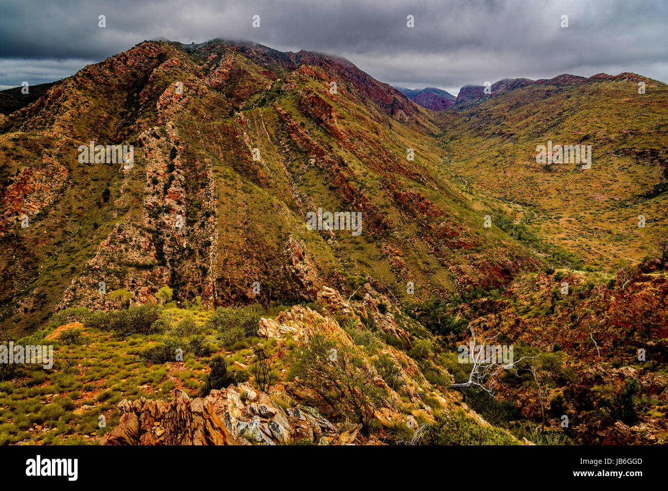 Razorback ridge hires stock photography and images Alamy