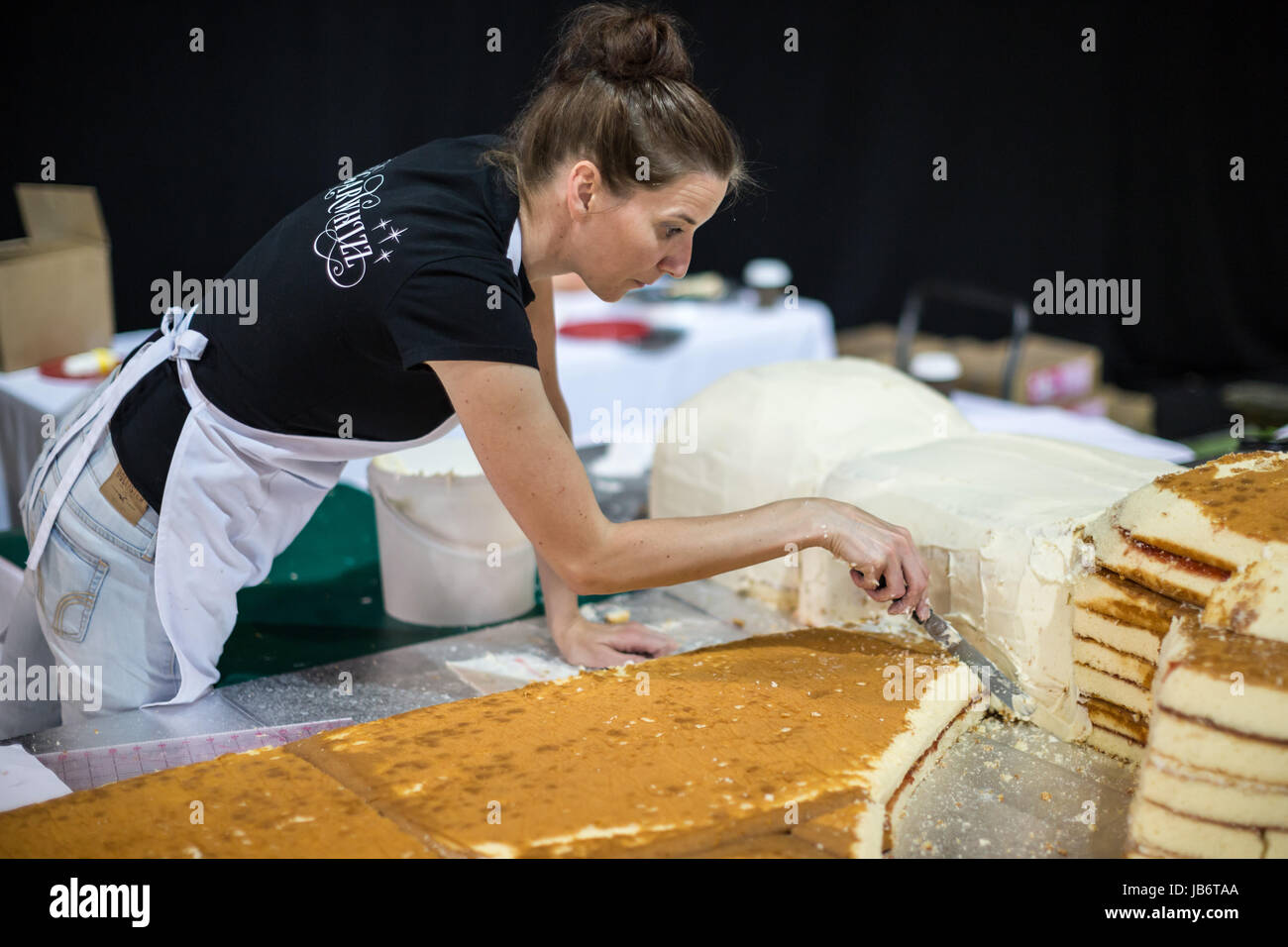 Manchester, UK. 9th Jun, 2017. An 8ft by 6ft cake Worker Bee is baked and constructed by Alana Lily Cakes to be sold to raise funds for the 'We Love Manchester' appeal following the suicide bombing in May. The Worker Bee symbol originated during the Industrial Revolution; originally representing the hard work of Mancunians, it has now been adopted as a symbol of unity against terrorism. Credit: Michael Buddle/Alamy Live News Stock Photo