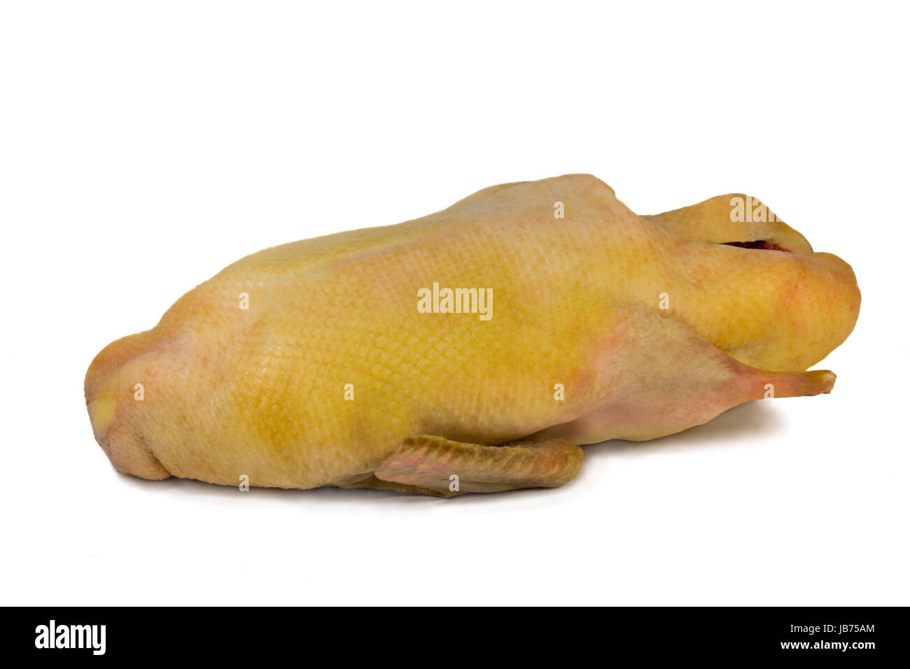 Duck crude prepared for culinary processing. Presents on a white background. Stock Photo