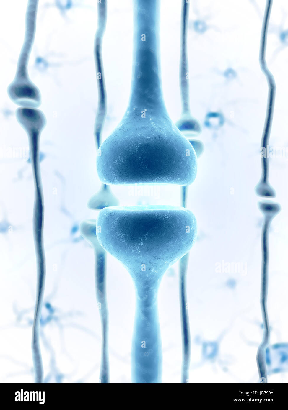 3d rendered illustration of a human receptor Stock Photo