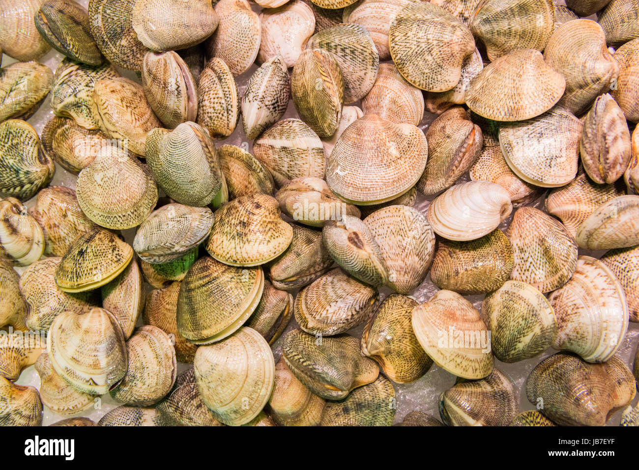 Fresh baby clams for sale in local market in Madrid.Seafood background Stock Photo