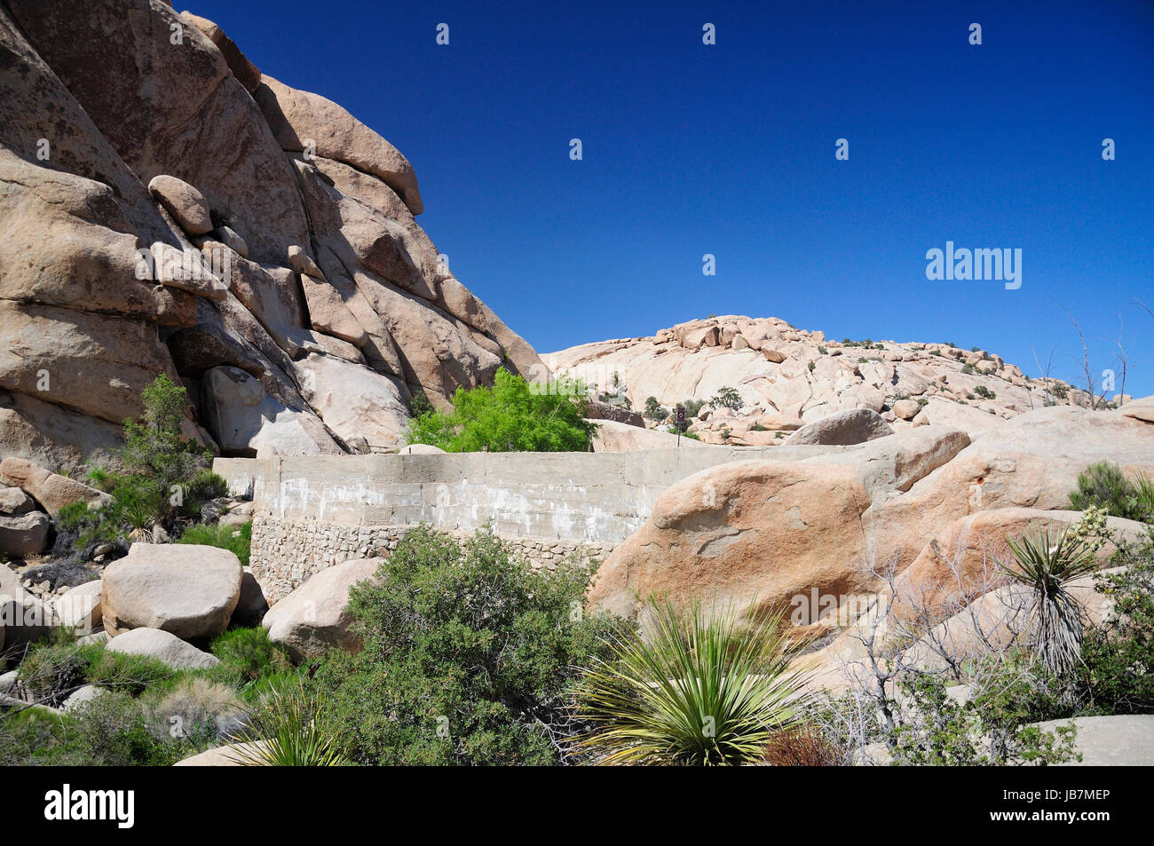 Desert ecosystem hi-res stock photography and images - Alamy