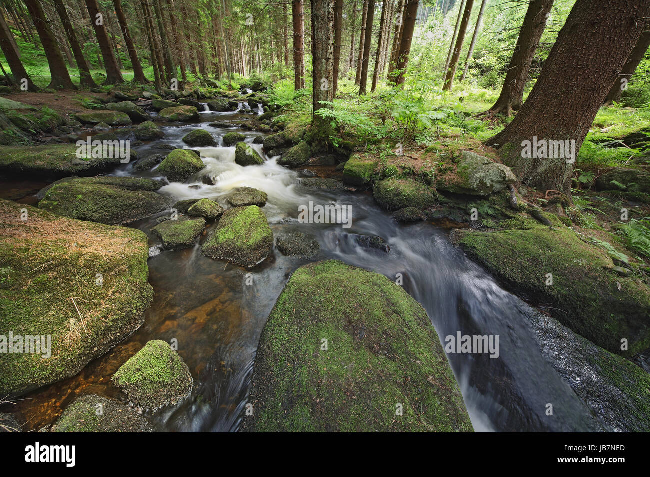 small brook with stones and green vegetation Stock Photo - Alamy