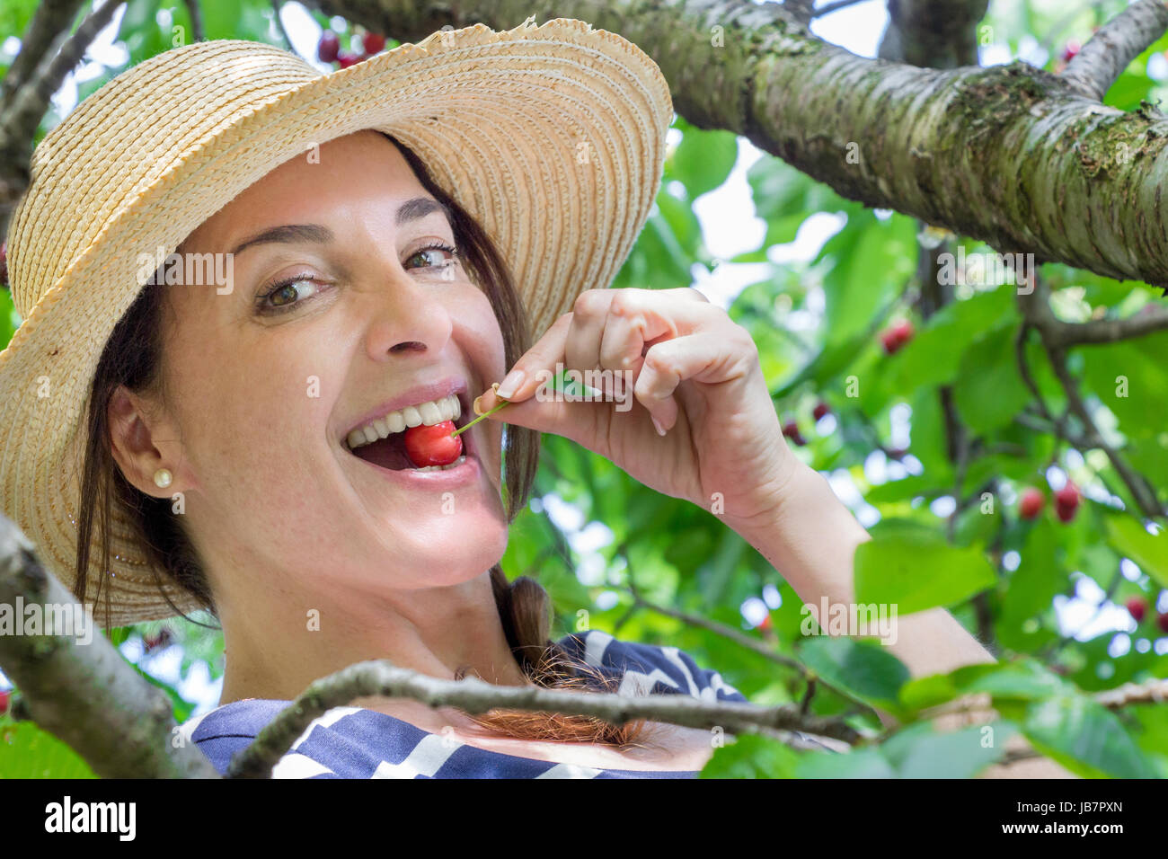 A woman wearing a hat on a tree biting a cherry looking at camera, smiling. Stock Photo
