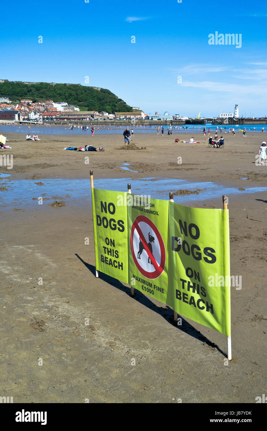 South Bay SCARBOROUGH NORTH YORKSHIRE No dogs allowed sign dog beach Stock Photo