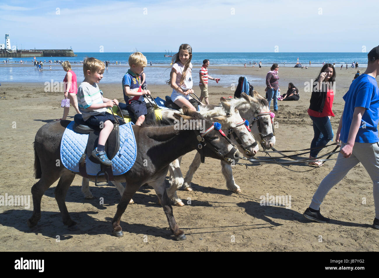 South Bay SCARBOROUGH NORTH YORKSHIRE donkey ride beach rides uk seaside Stock Photo