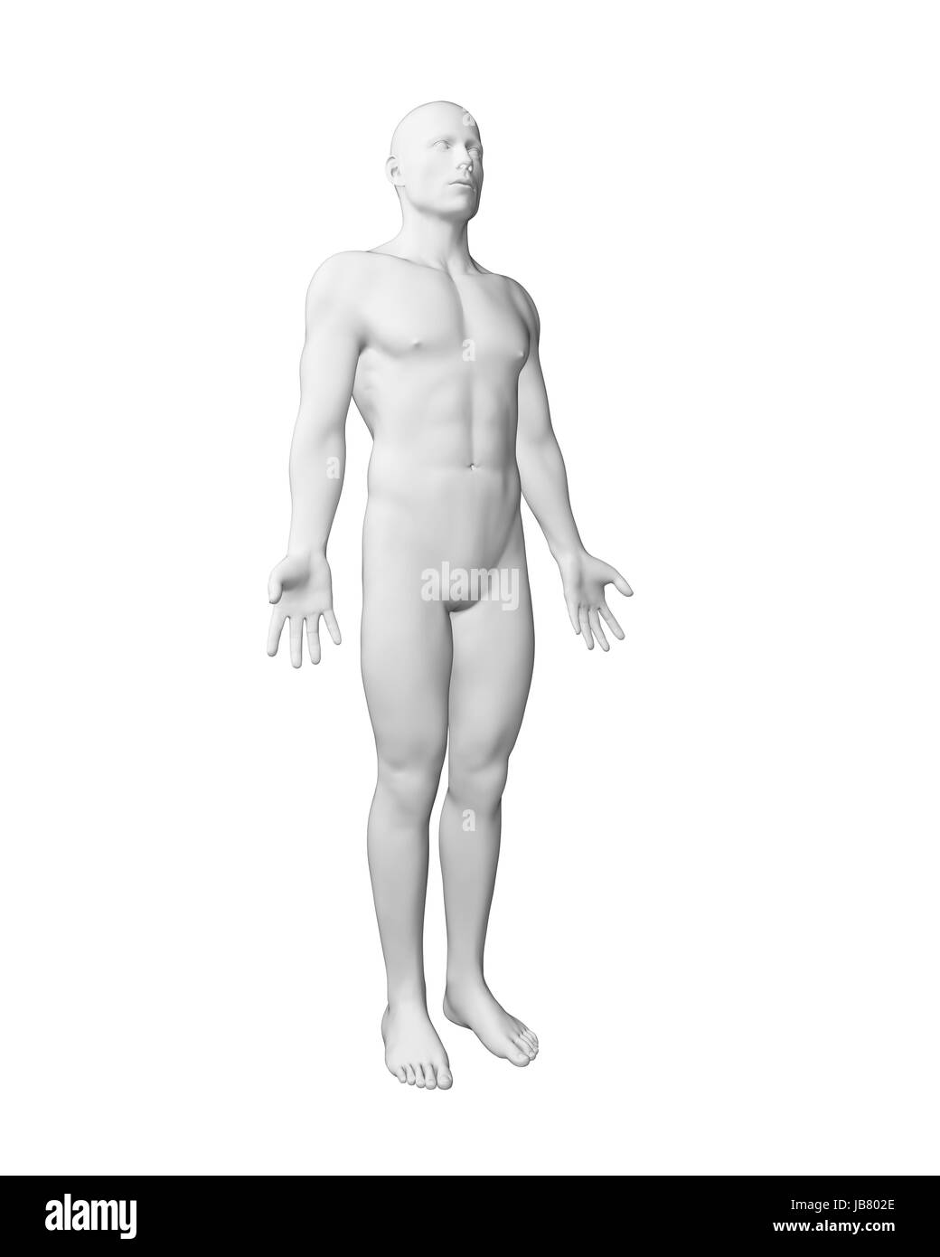 3d illustration male muscles Black and White Stock Photos & Images - Alamy