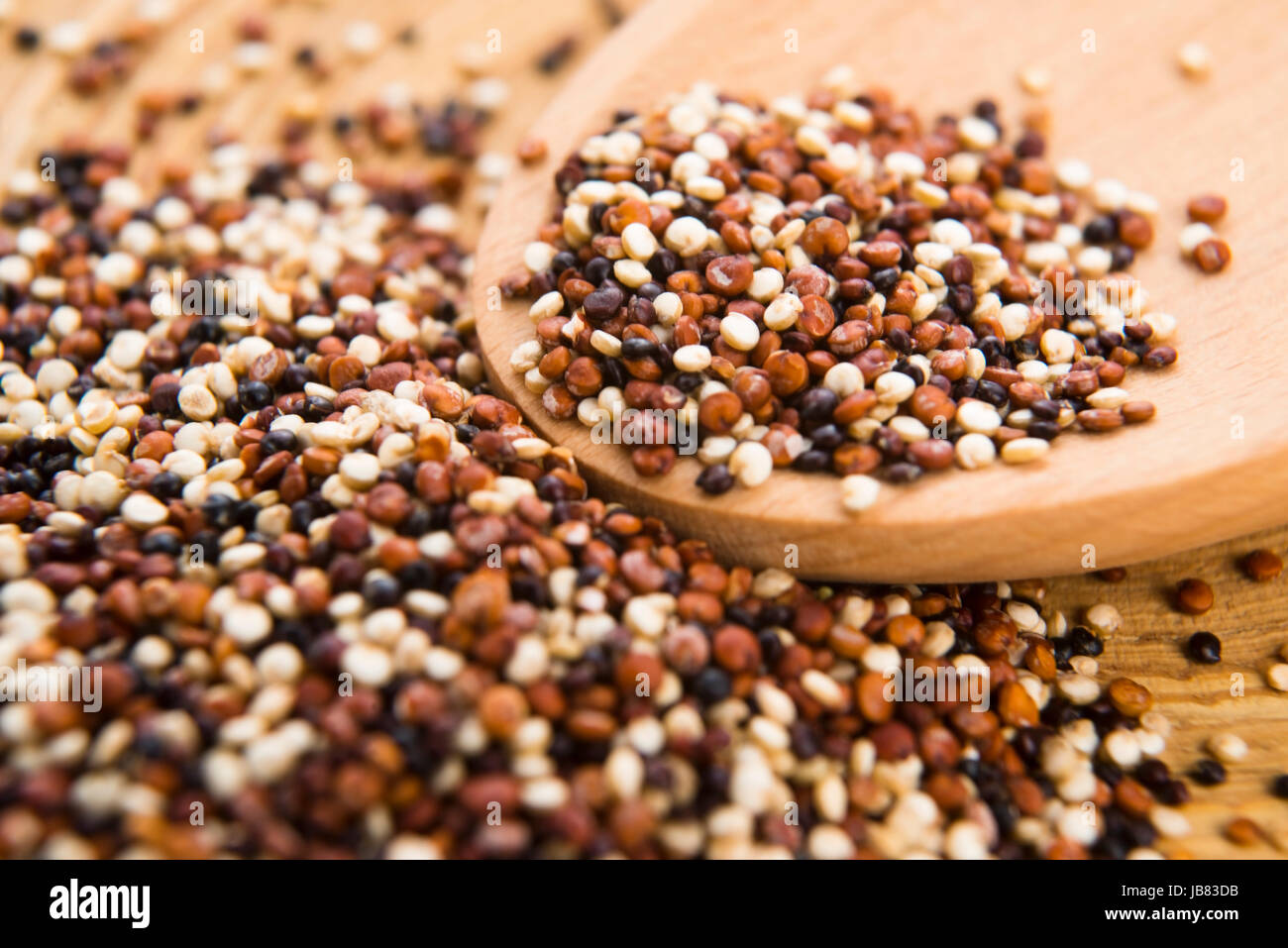 Tricolor quinoa grain Stock Photo Alamy