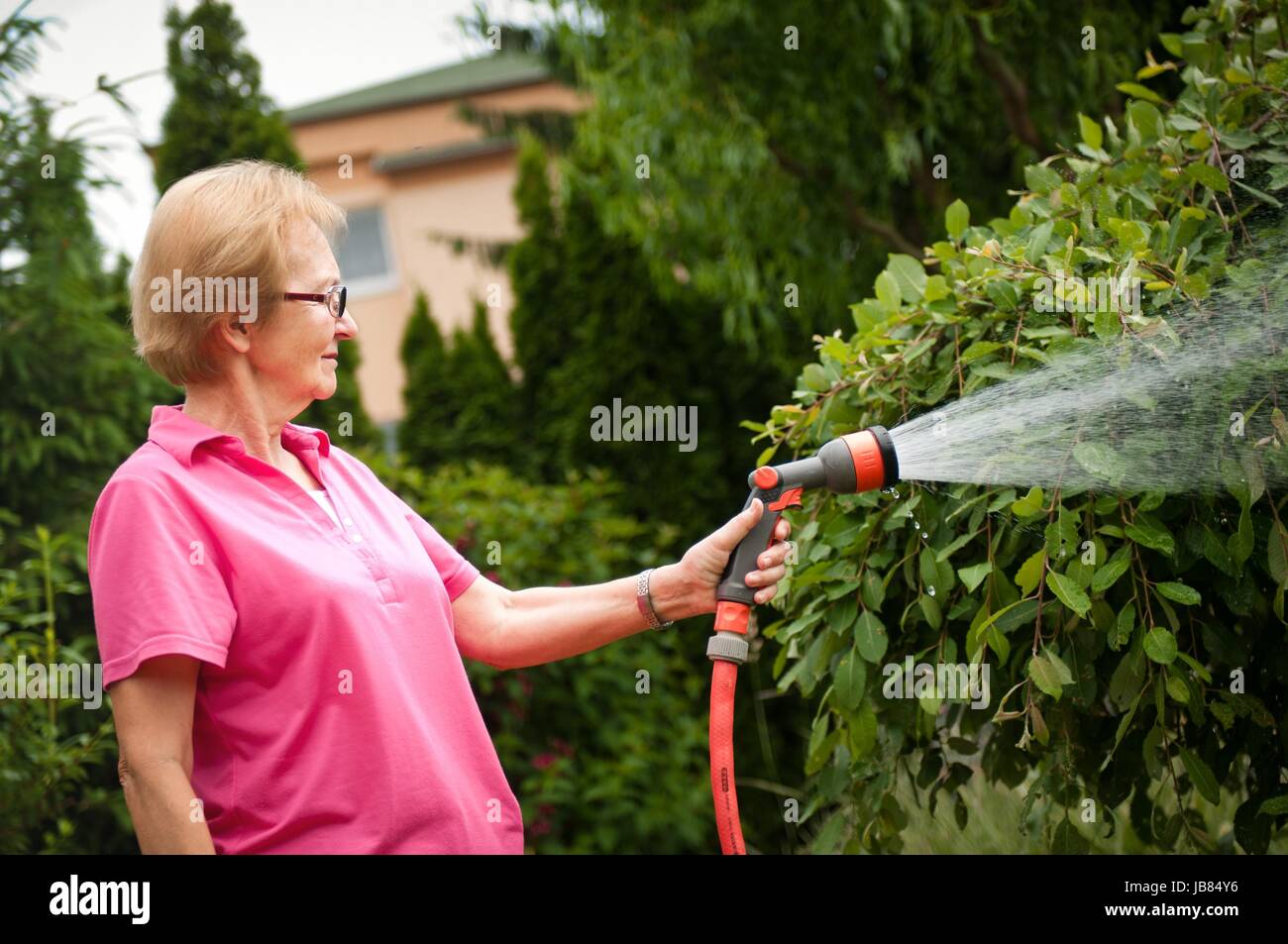 Поливка из лейки. Полив помидор в теплице. Автополив для деревьев и кустарников. А как поливать ее. Поливать огород.