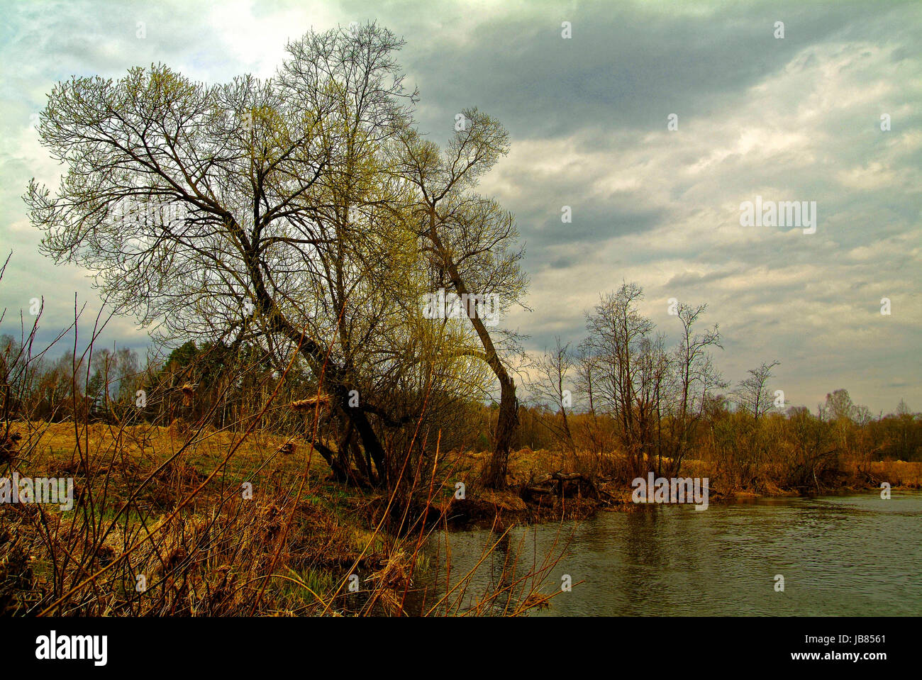 river in spring, Kaluga oblast, the river Shan Stock Photo