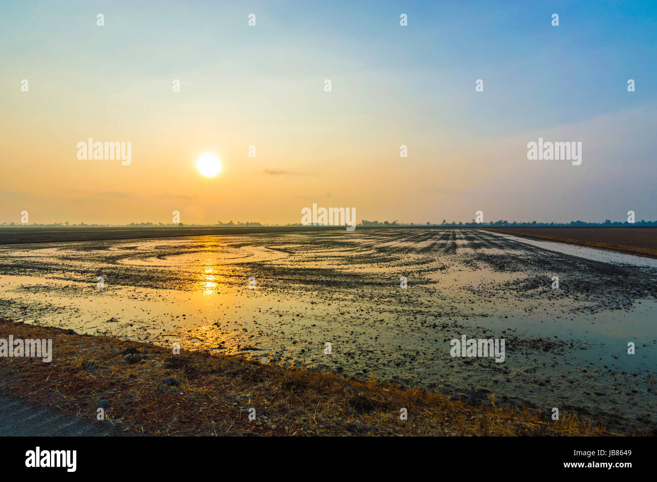 Sunrise and reflection at water paddy field Stock Photo - Alamy