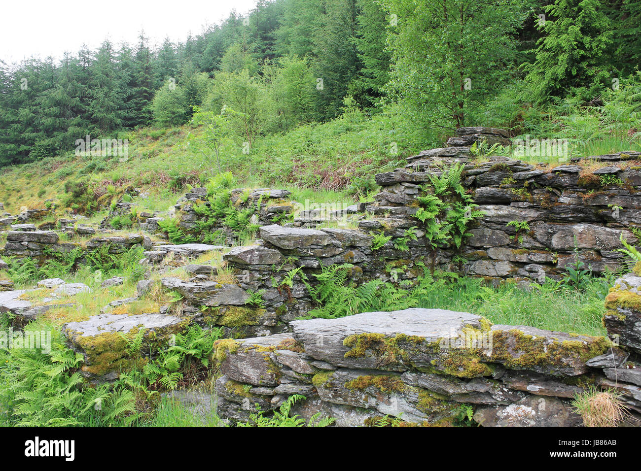 Ruins of Tai Penamnen in Cwm Penamnen, Dolwyddelan, Conwy County, North Wales Stock Photo