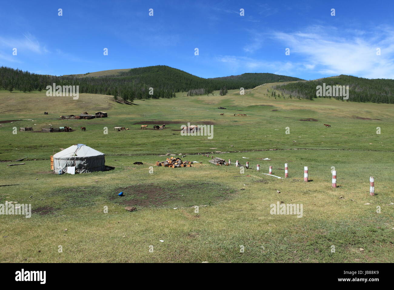 yurts in the mongolian steppe Stock Photo - Alamy