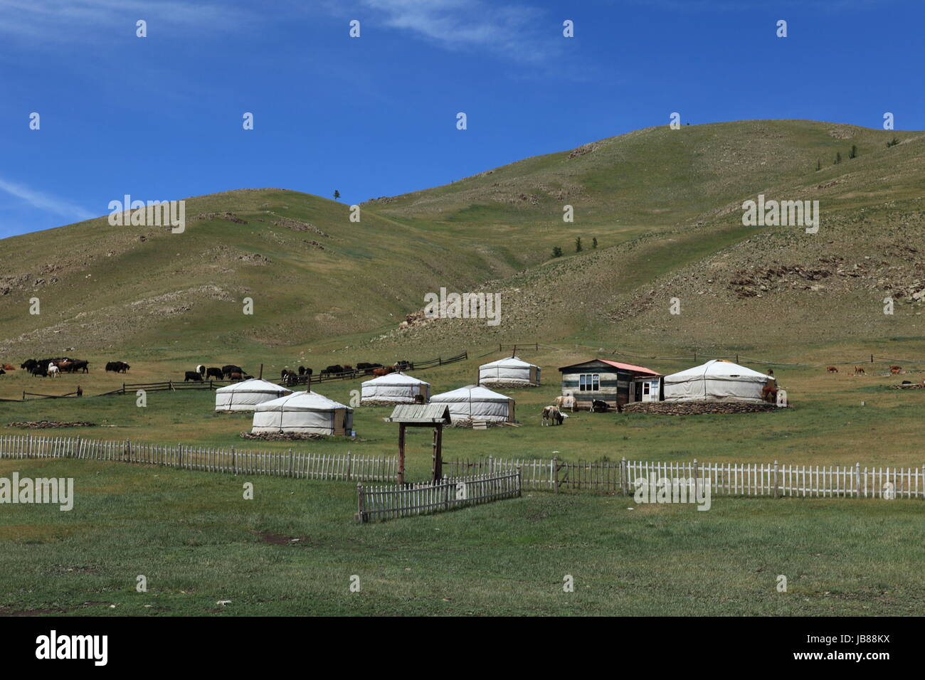 yurts in the mongolian steppe Stock Photo - Alamy