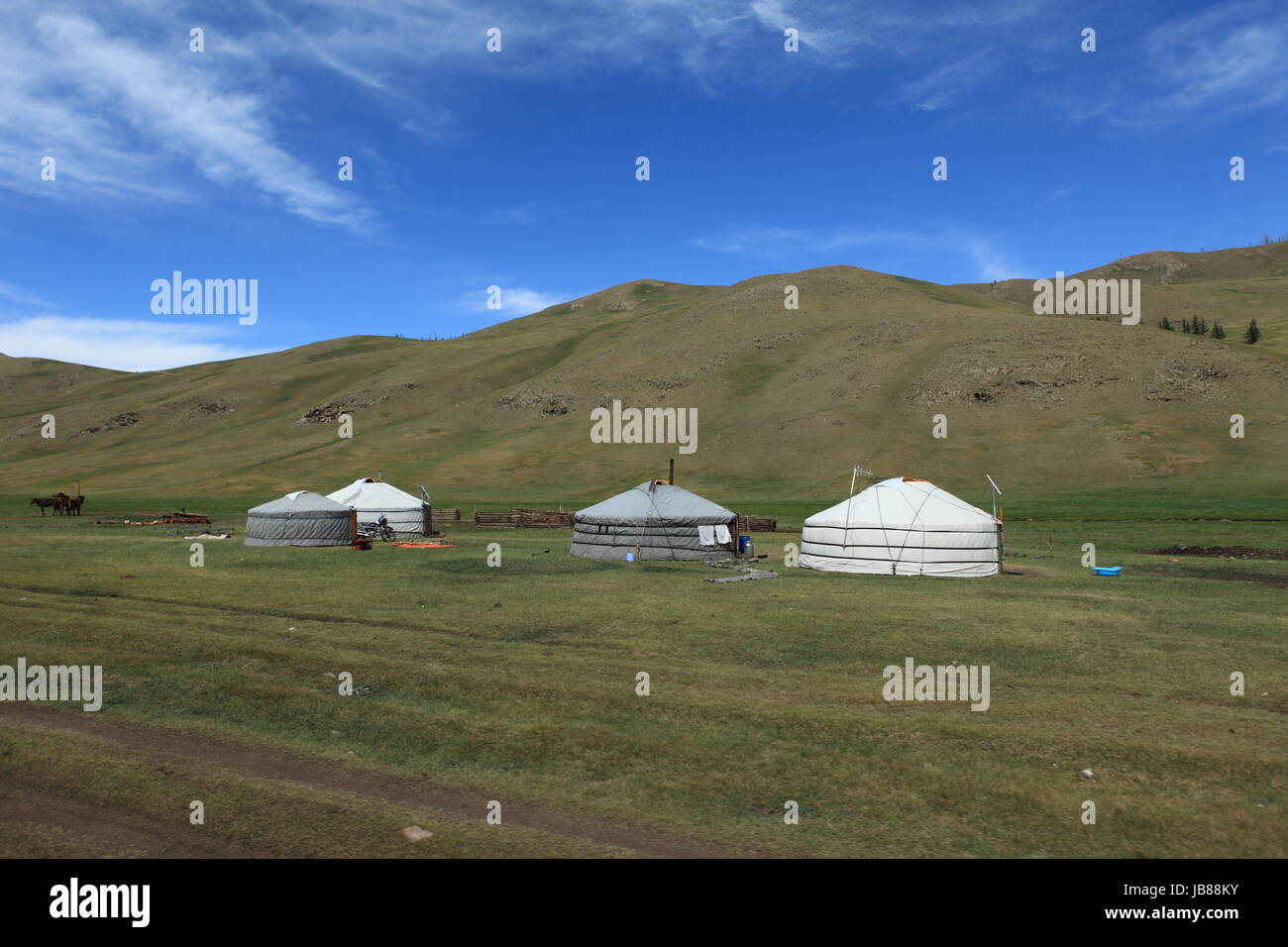 yurts in the mongolian steppe Stock Photo - Alamy