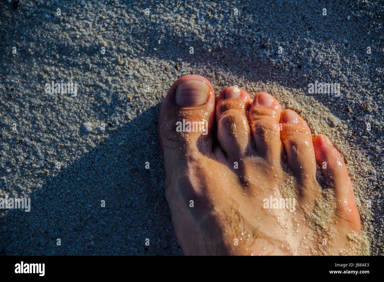 Photograph of a human foot on beach sand Stock Photo - Alamy