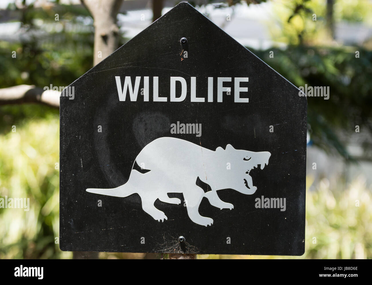 Warning sign advising people to beware of the danger posed by the local wildlife. Sydney, Australia. Stock Photo