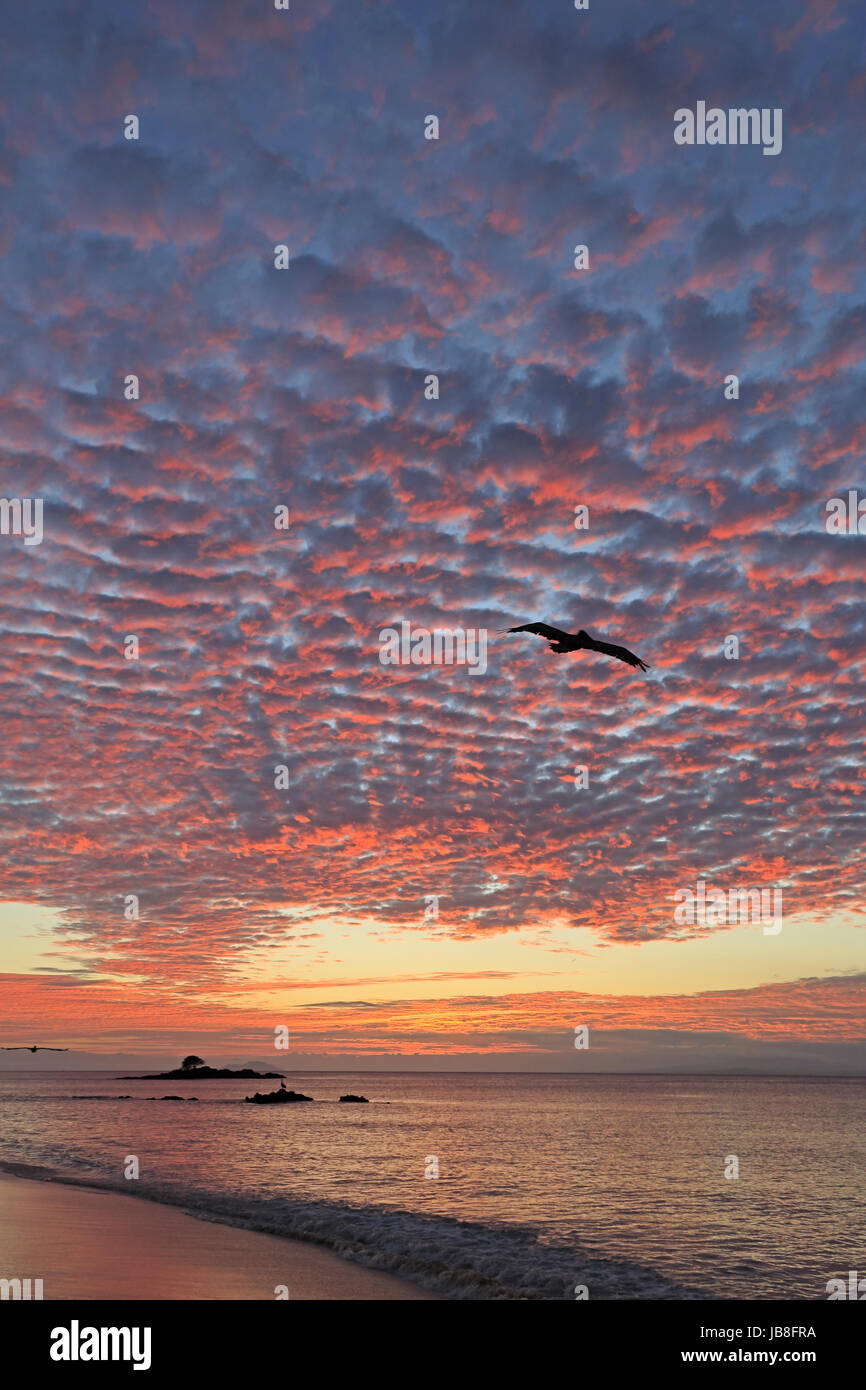 Sunset on Santa Cruz Island on the Galapagos Stock Photo