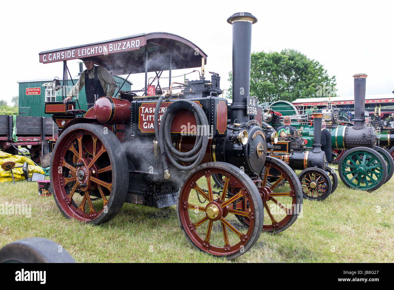 Ashley Hall Traction Engine Rally today (Monday 29th May 2017). The rally , hosted at Ashley Hall for the third year running , Stock Photo