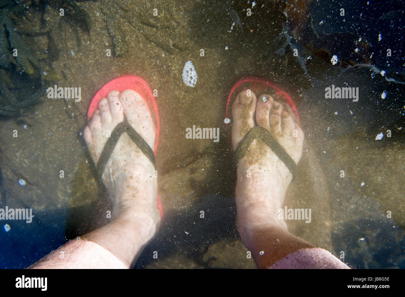 Two feet in a rock pool at the seaside Stock Photo