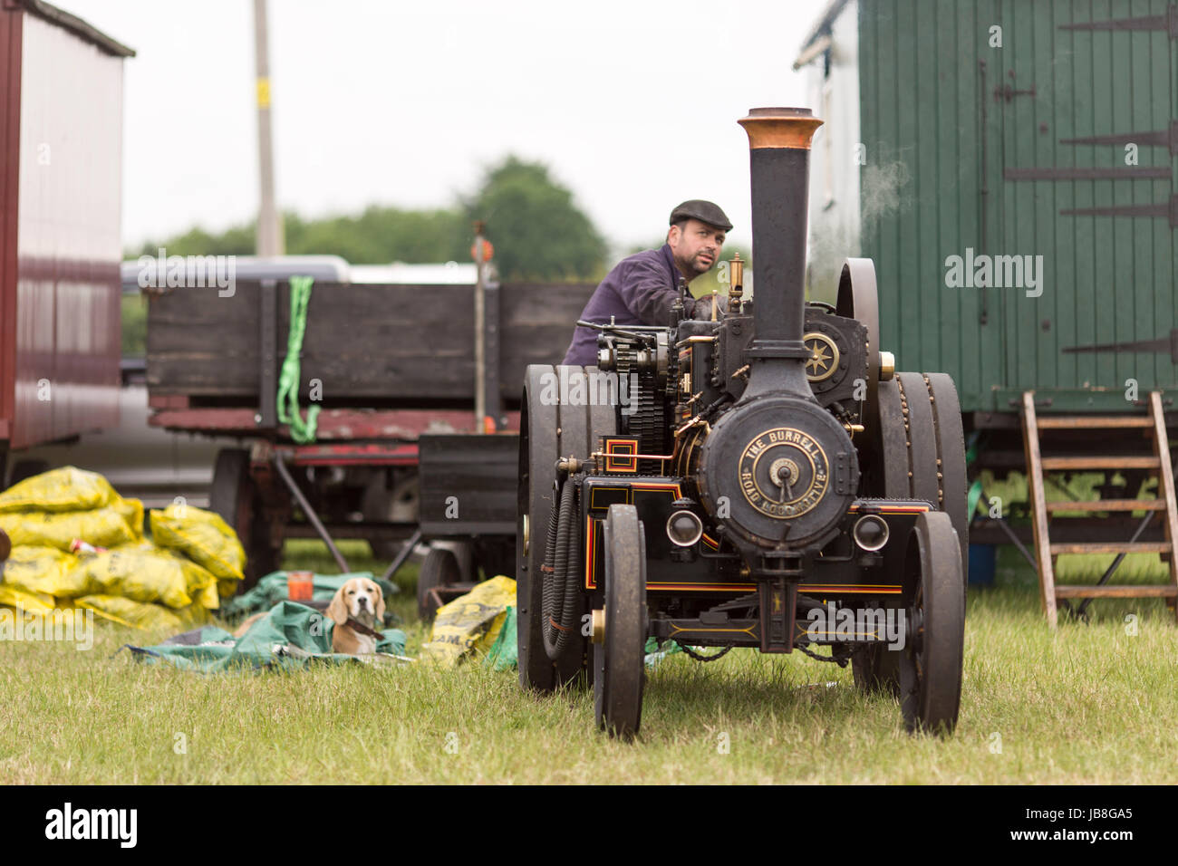 Ashley Hall Traction Engine Rally today (Monday 29th May 2017). The rally , hosted at Ashley Hall for the third year running , Stock Photo