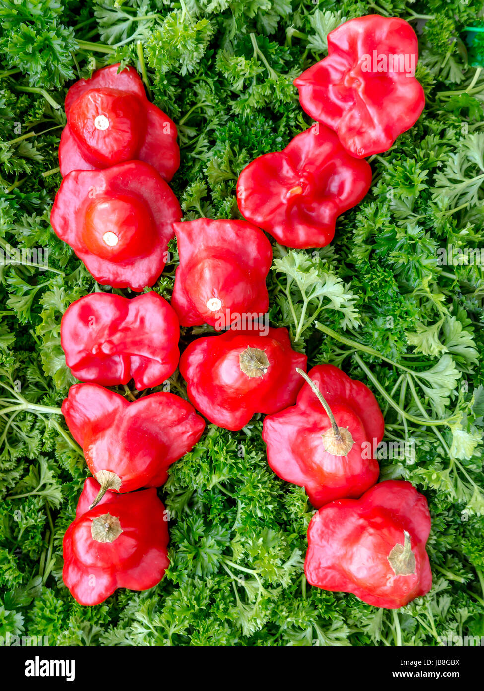 Initials letter K from pepper and parsley Stock Photo - Alamy
