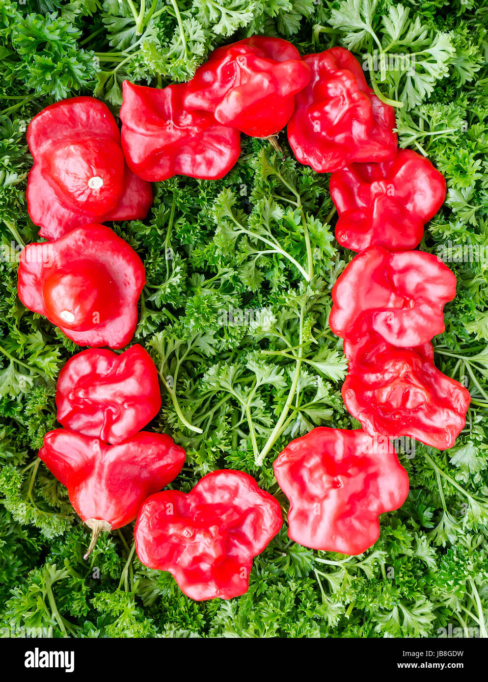 Letter o nature hi-res stock photography and images - Alamy