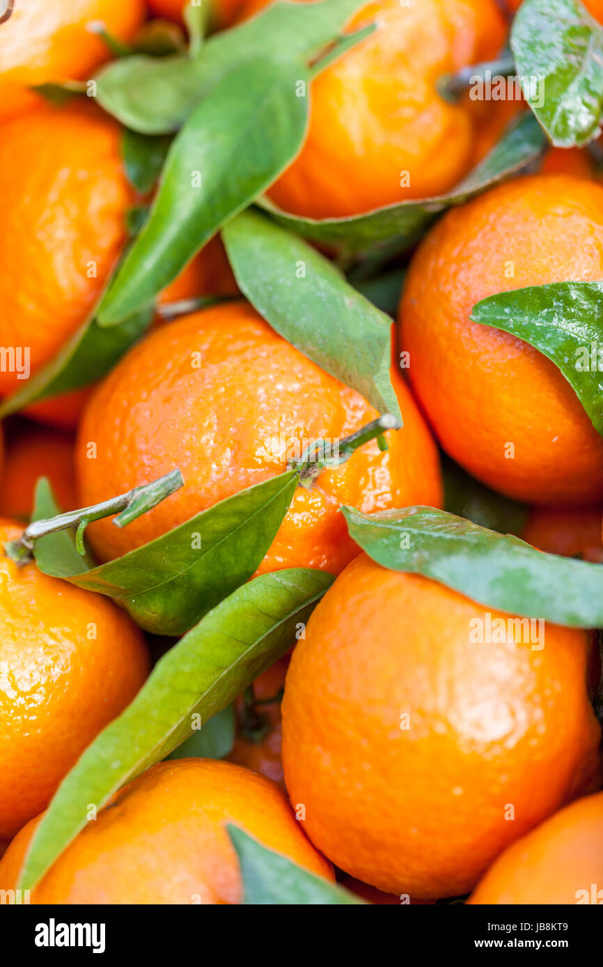 Clementinen mandarine hi-res stock photography and images - Alamy