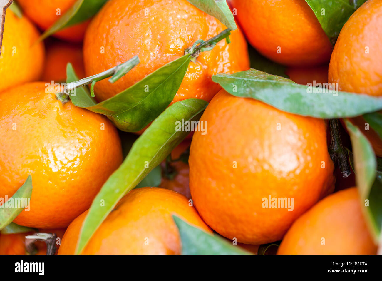 images mandarine photography stock - Alamy hi-res and Clementinen