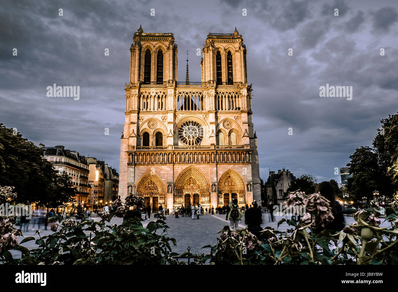 Notre Dame Cathedral during night Stock Photo - Alamy