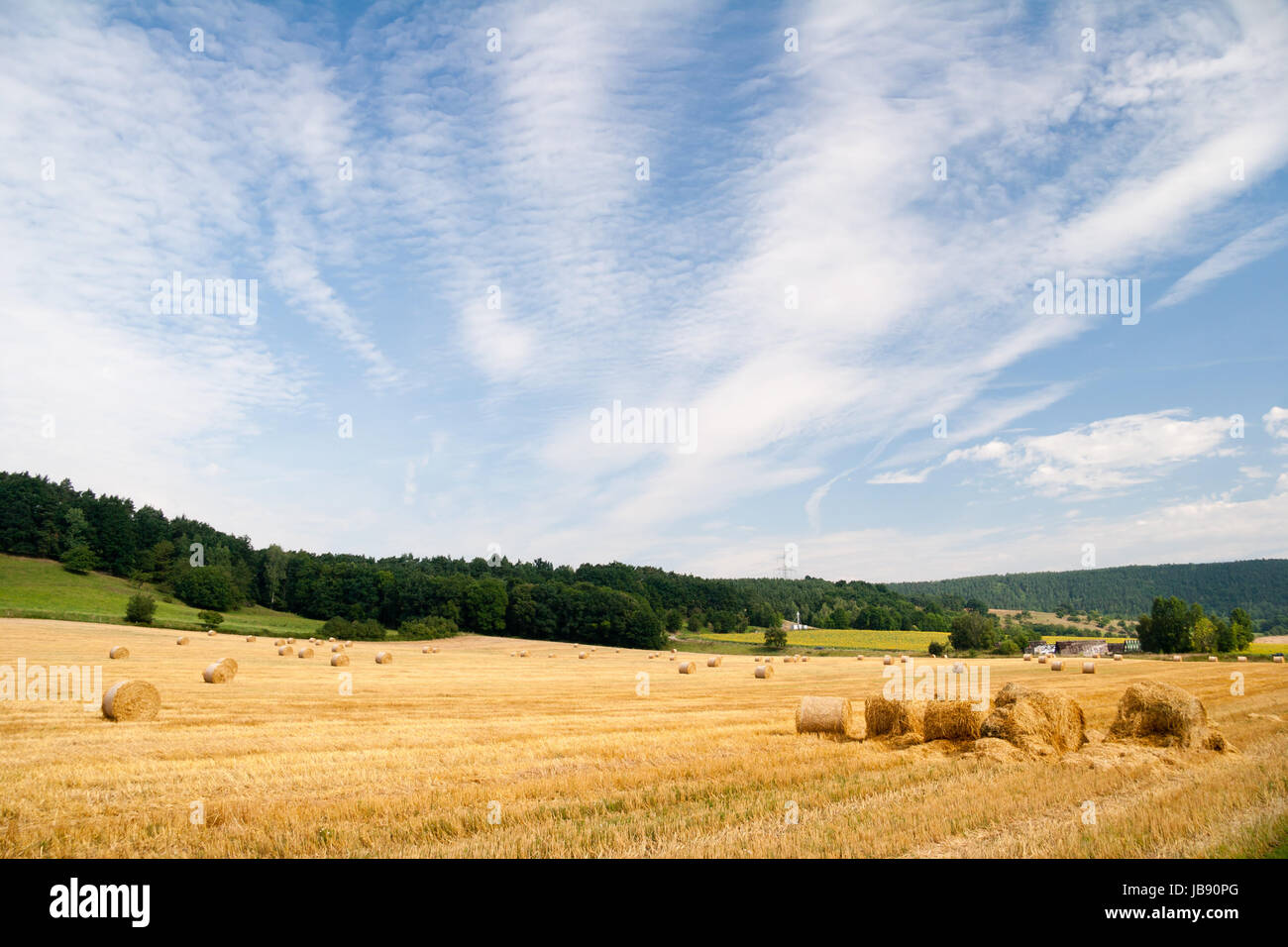 summer field with straw bales Stock Photo - Alamy