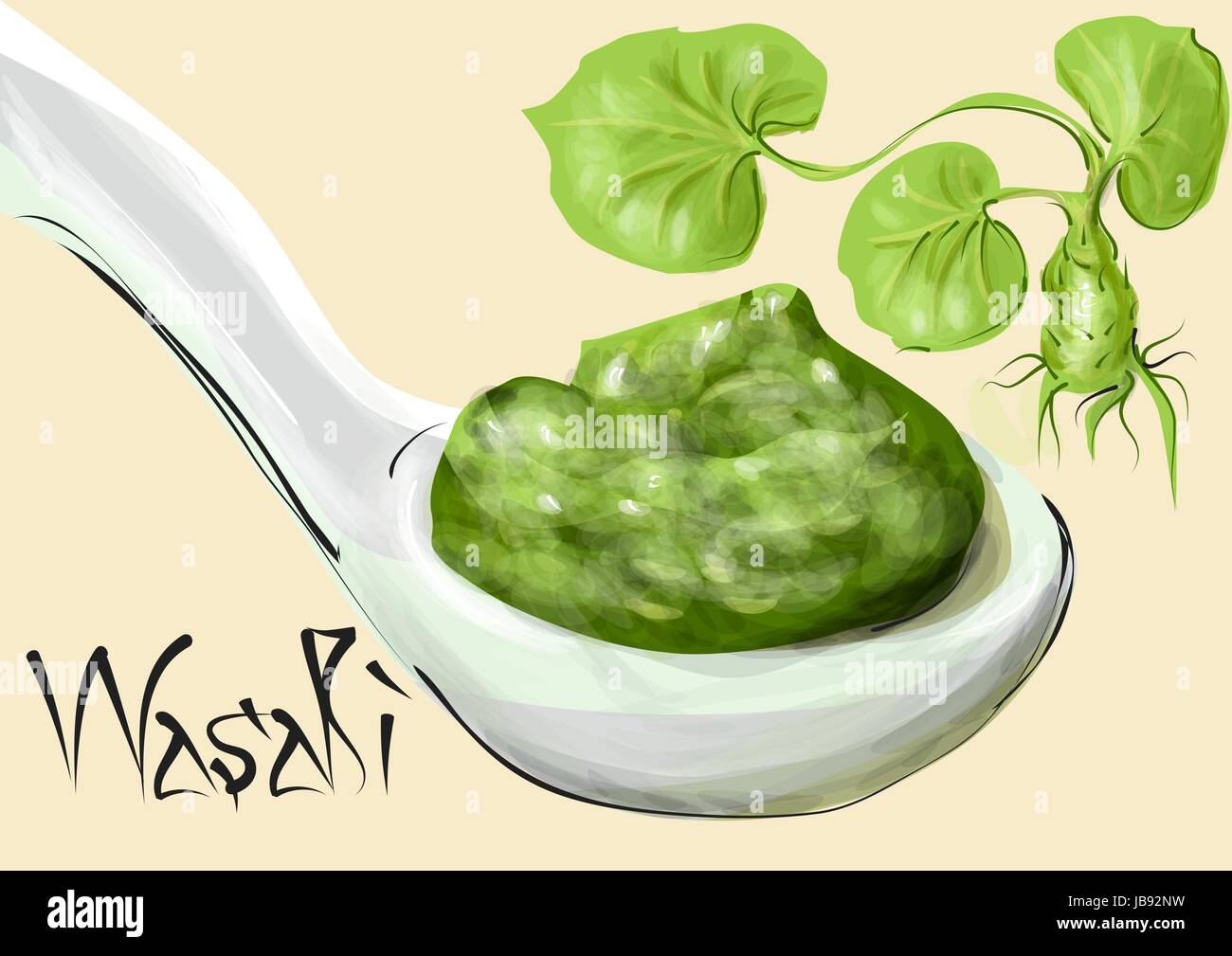 wasabi. plant and spoon with green condiment Stock Vector Image & Art
