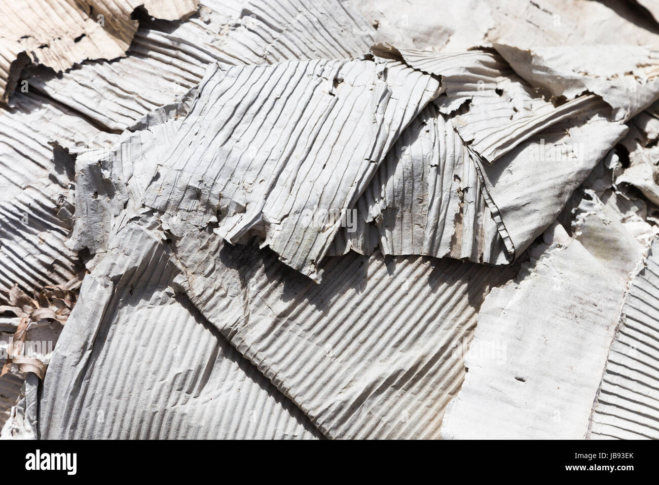 Can You Recycle Wet Cardboard at Ronald Hilton blog