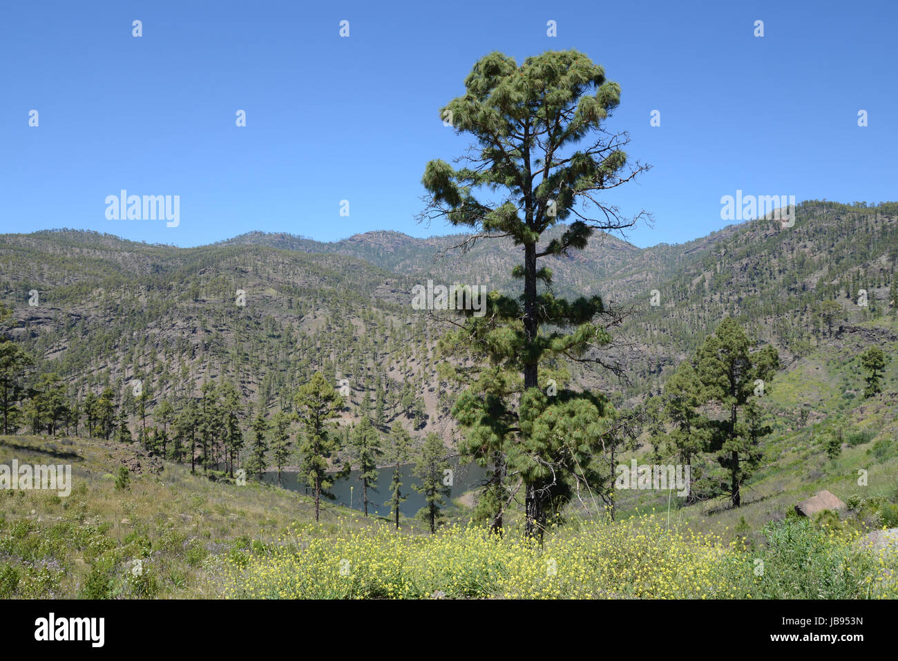 presa el mulato, presa del mulato, see, stausee, bergsee, Mogan, Gran Canaria,  gebirge, mogantal, kanaren, kanarische inseln, spanien,wasser Stock Photo