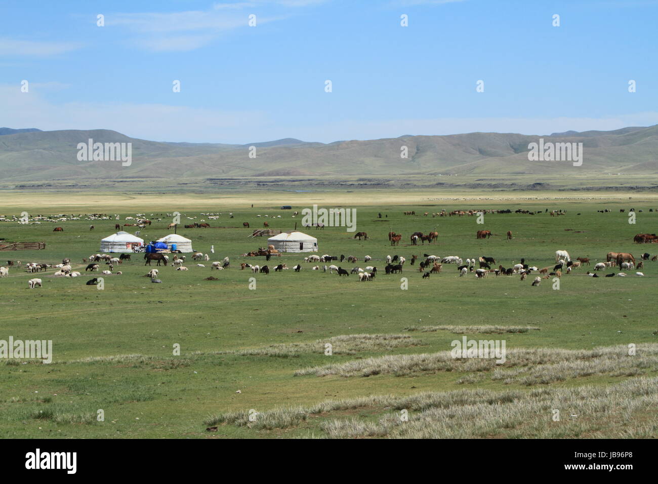 yurts in the mongolian steppe Stock Photo - Alamy