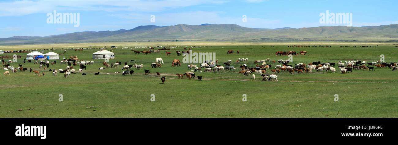 yurts in the mongolian steppe Stock Photo - Alamy